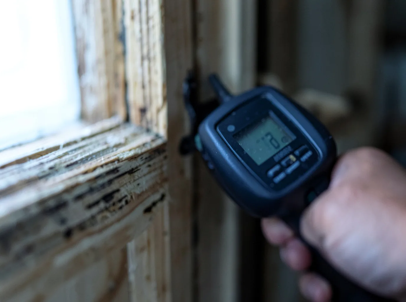 Moisture Inspection And Documentation in Hailesboro, NY
